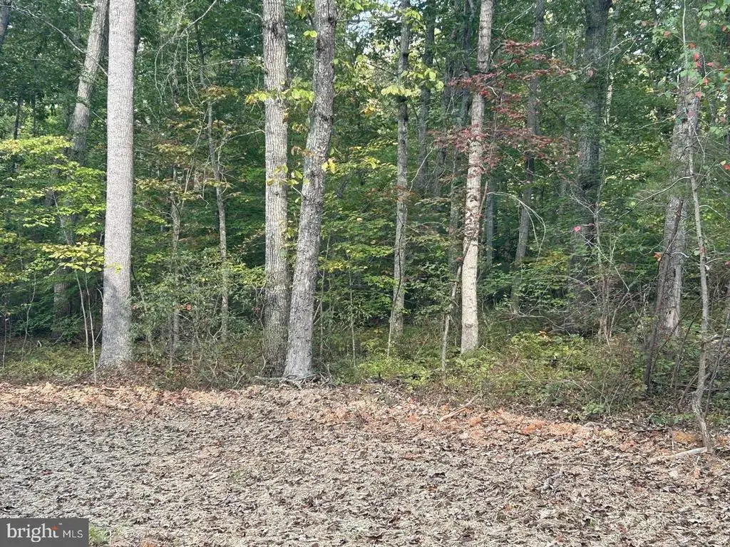 Camden Ln, Elkwood, VA 22718 - #1