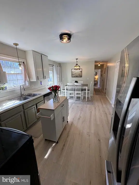1300 Clatterbuck Ln, Amissville, VA 20106 - #3