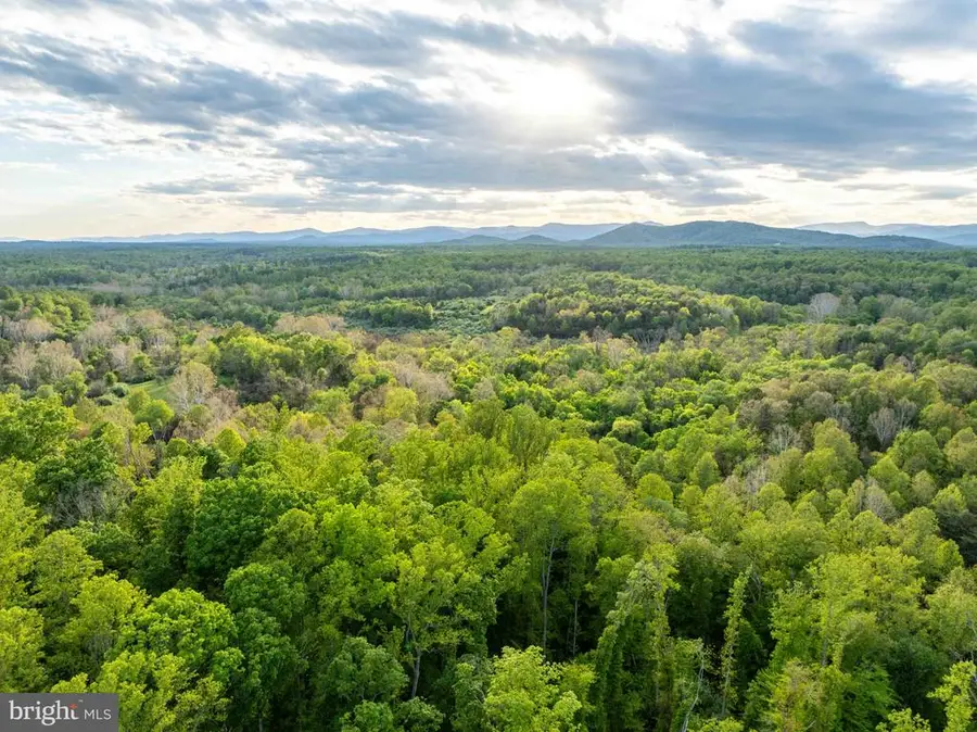 1 Louise Ln, Rapidan, VA 22733 - #3