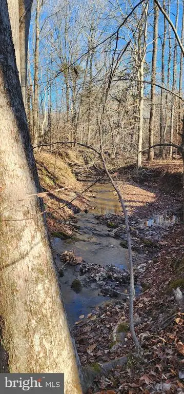 1064 Hunters Lodge Rd, Troy, VA 22974 - Image #1