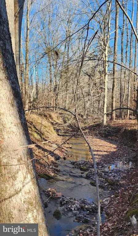 1064 Hunters Lodge Rd, Troy, VA 22974 - Image #2