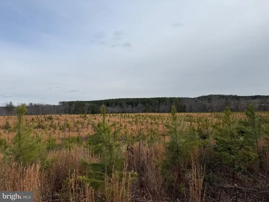 Community House Rd, Columbia, VA 23084 - #3