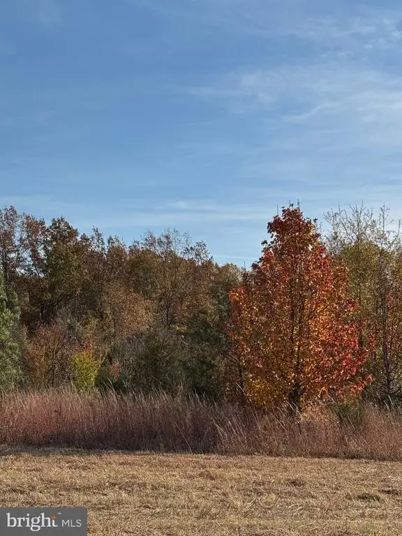 0 Baines Corner Road, Bealeton, VA  - Image #1