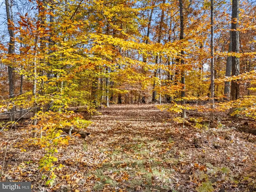 8485 Rouges Rd, Warrenton, VA  - #3