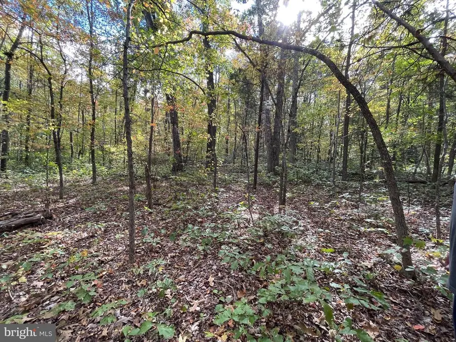 Marsh Rd, Goldvein, VA  - Image #2