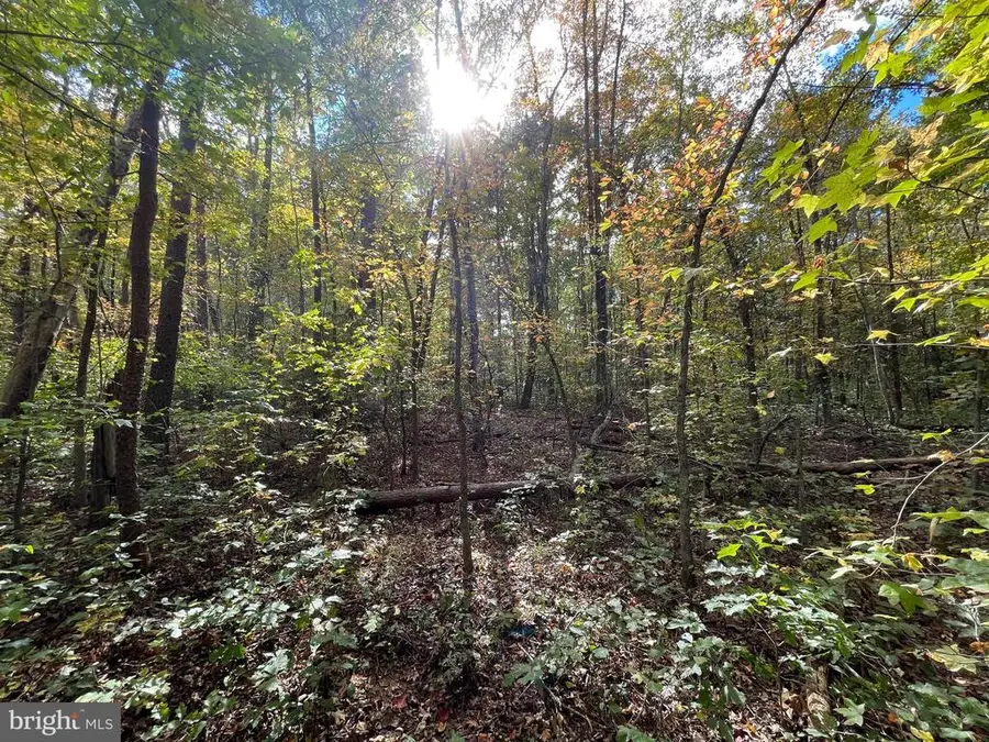 Marsh Rd, Goldvein, VA  - Image #3