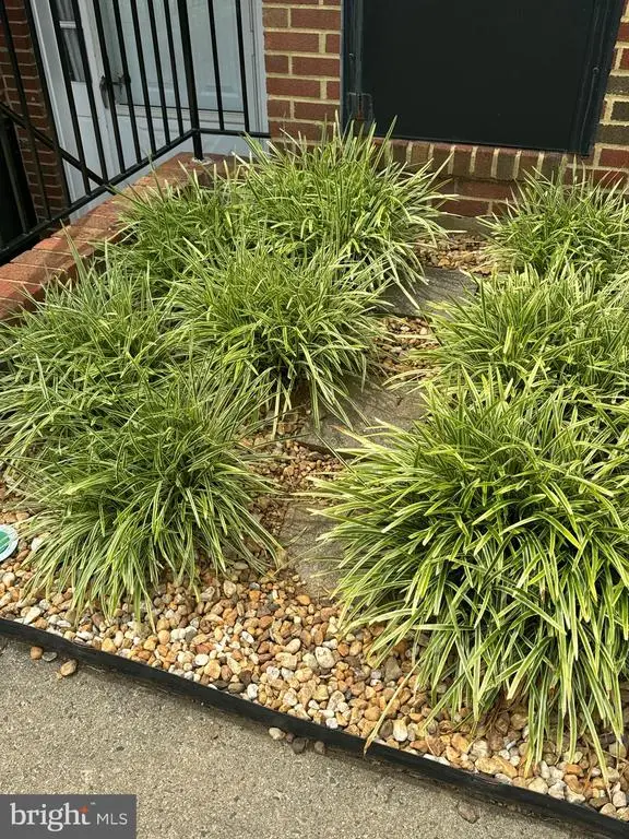 150 Fairfield Dr #150C, Warrenton, VA 20186 - Image #3