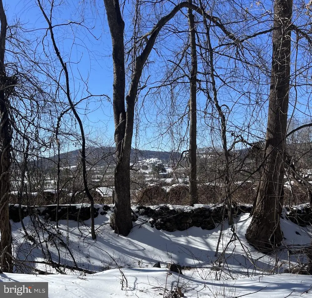 Carleton Ln, The Plains, VA  - #1