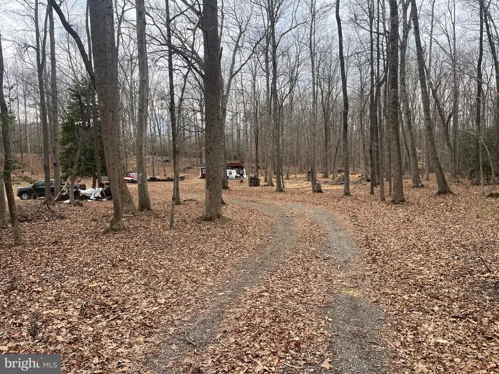 13220 Blackwood Forest Dr, Goldvein, VA  - #1