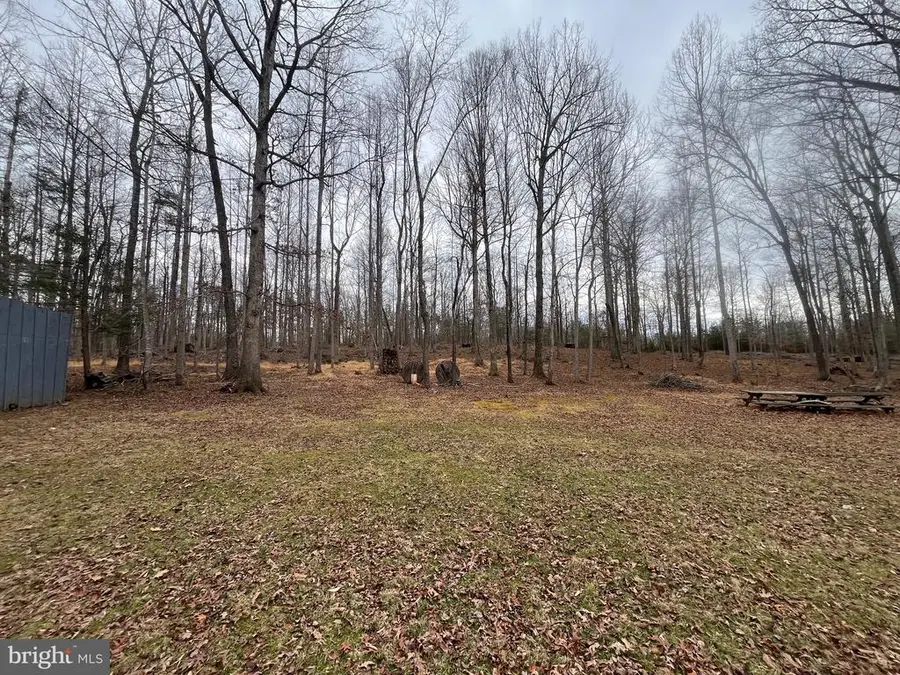 13220 Blackwood Forest Dr, Goldvein, VA  - #3