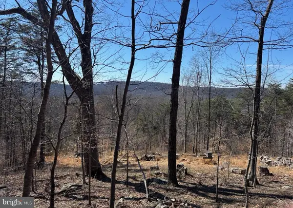 Carters Run, MARSHALL, VA 