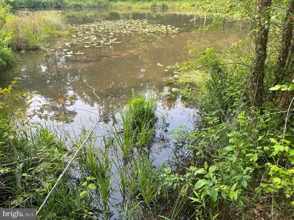 Kangaroo Ct, MINERAL, VA 23117