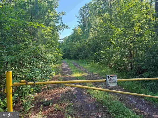 Bannister Town Road (tract Dtof Louisa), LOUISA, VA 23093