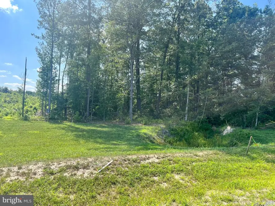 Buckners Lane, Mineral, VA 23117 - Image #3