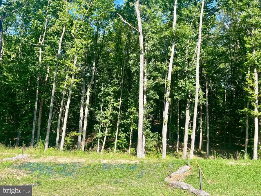 Southern Ridge, Mineral, VA 23117 - Image #2