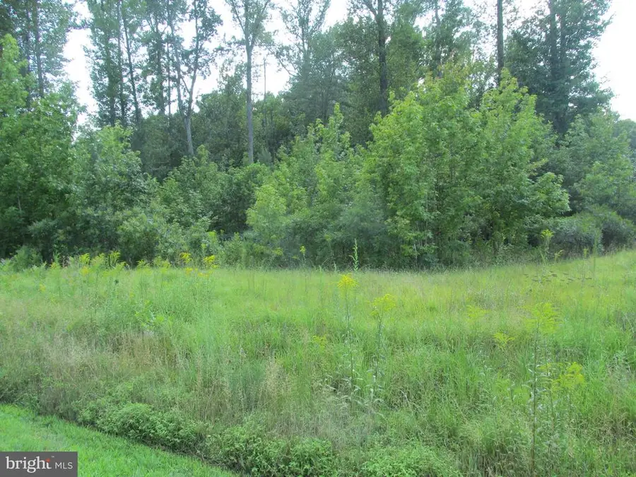 Blue Sky Way, Bumpass, VA 23024 - Image #3