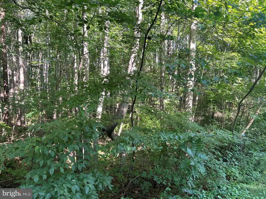 Overton Dr, Bumpass, VA 23024 - Image #3