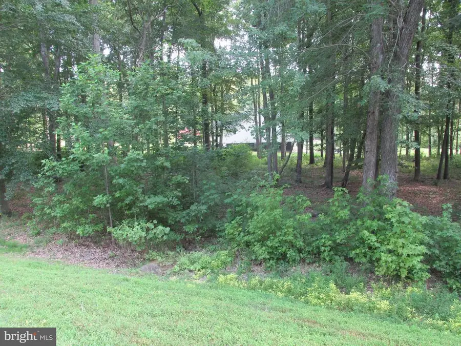 Blue Sky Way, Bumpass, VA 23024 - Image #2