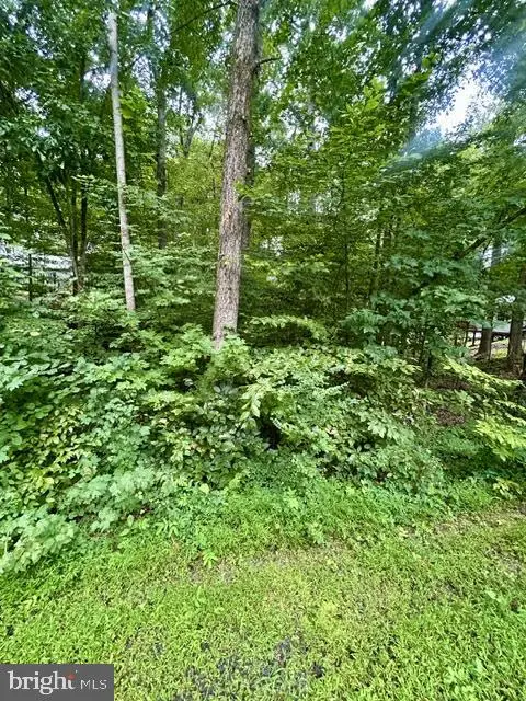 N Lakeshore Dr, Louisa, VA 23093 - Image #3