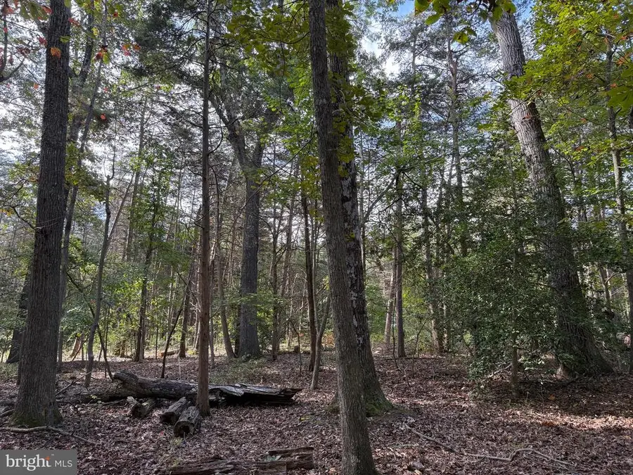 Turkey Trail, Mineral, VA 23117 - Image #3