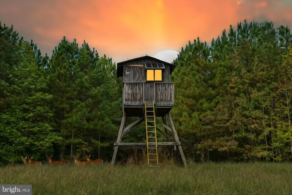 Cross Country Rd., Mineral, VA 23117 - Image #1