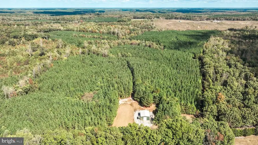 Cross Country Rd., Mineral, VA 23117 - Image #3