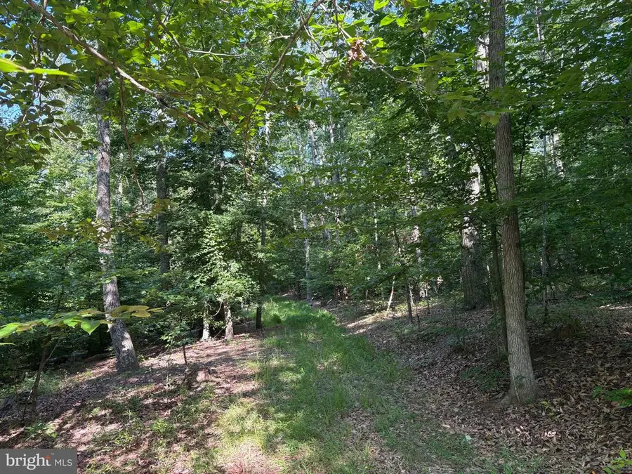 23 Taylor Rd, Louisa, VA 23093 - #3