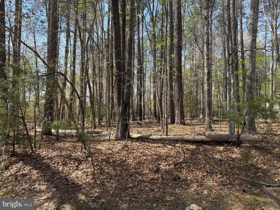 Windwood Coves Blvd, Mineral, VA 23117 - #2