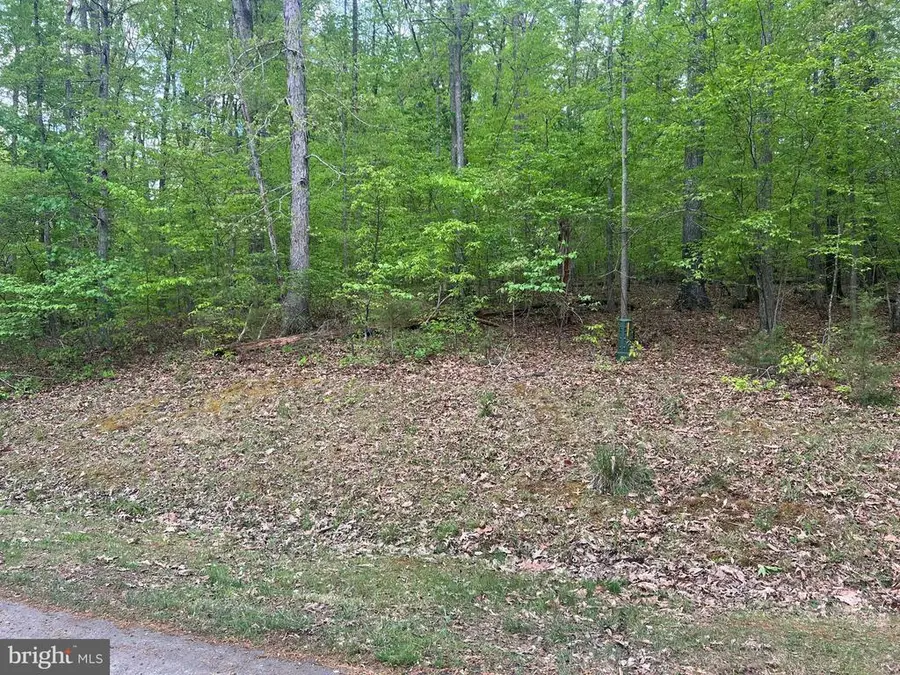 Fisher Drive, Mineral, VA 23117 - #3