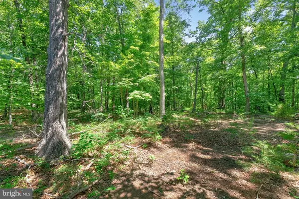 496 Bowlers Mill Run, GORDONSVILLE, VA 22942