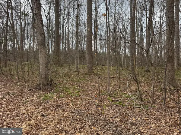 Harness Ln, LOUISA, VA 23093