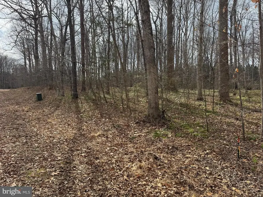 Harness Ln, Louisa, VA 23093 - #2