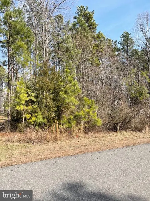 Winchester Trail, Mineral, VA 23117 - #3
