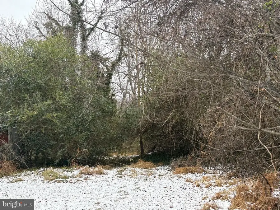 0 Main, Madison, VA 22727 - #3