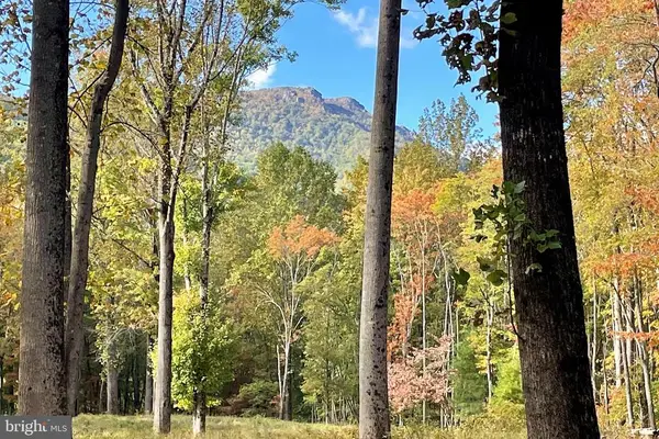 0 Pine Hill, SPERRYVILLE, VA 22740