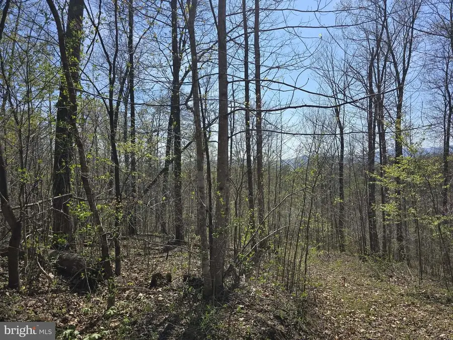 S Ft Valley Rd, Madison, VA 22727 - #2