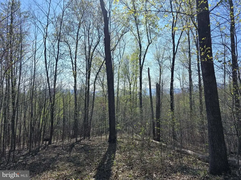 S Ft Valley Rd, Madison, VA 22727 - #1