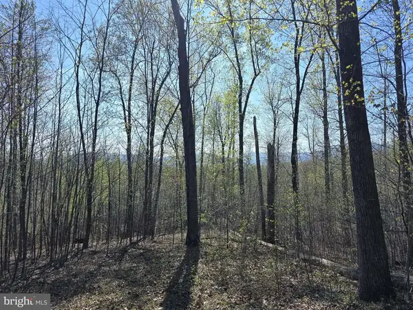 S Ft Valley Rd, MADISON, VA 22727