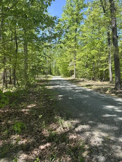 Davis Ln, Aroda, VA 22709 - #2