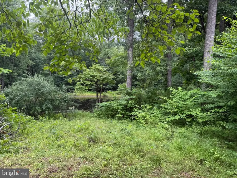 W Hoover Rd, Reva, VA 22735 - #3