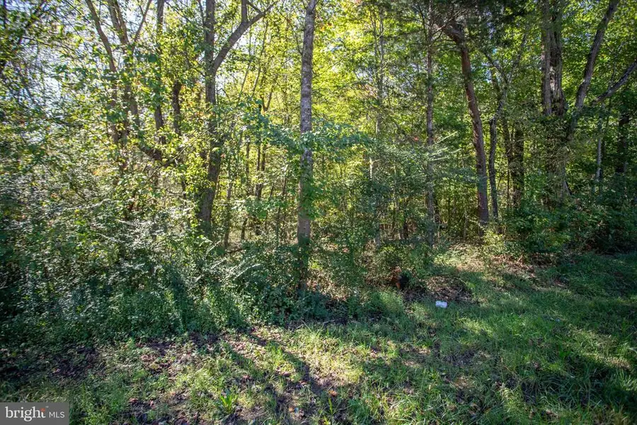 Richmond Hwy, Gladstone, VA  - #3