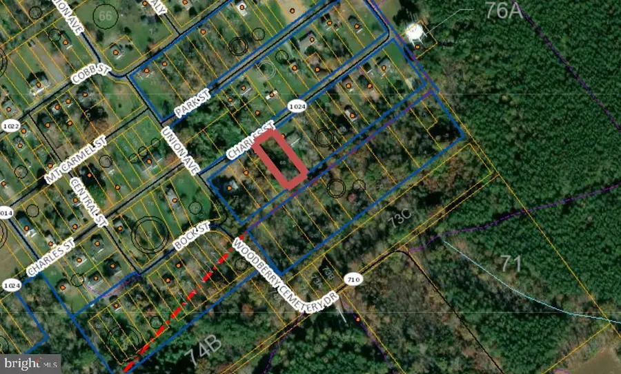 Charles St, Gordonsville, VA 22942 - #3