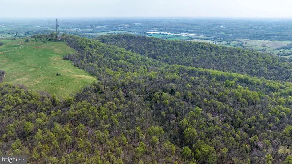 Hawthorne Dr, Rapidan, VA 22733 - #1