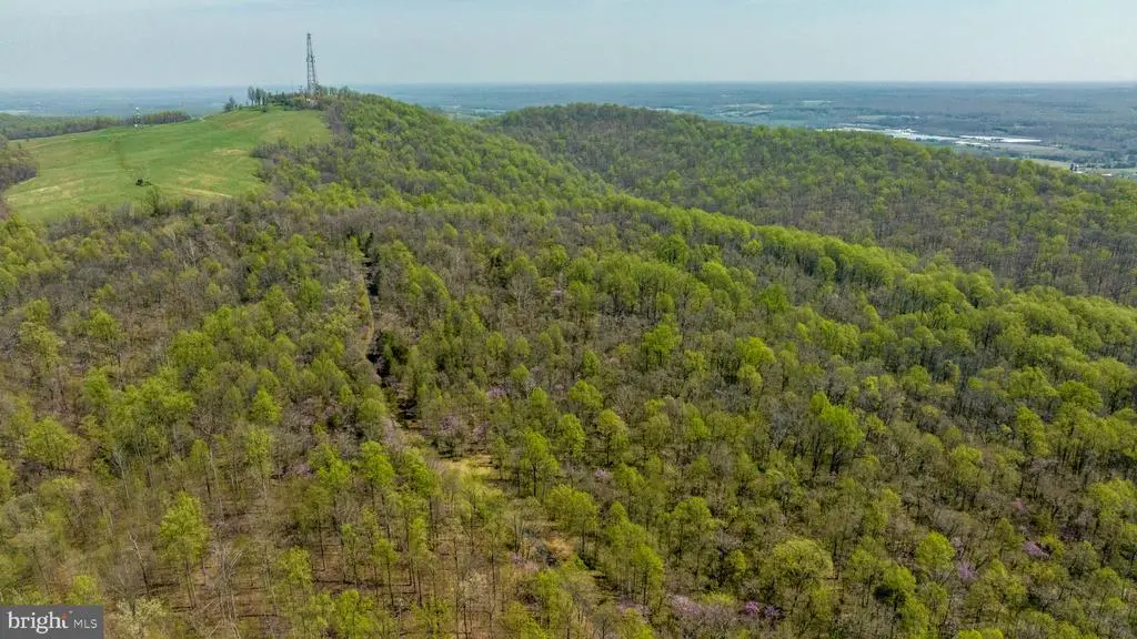 Hawthorne Dr, Rapidan, VA 22733 - #1