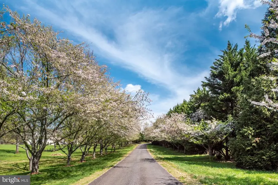 Hawthorne Dr, Rapidan, VA 22733 - #3