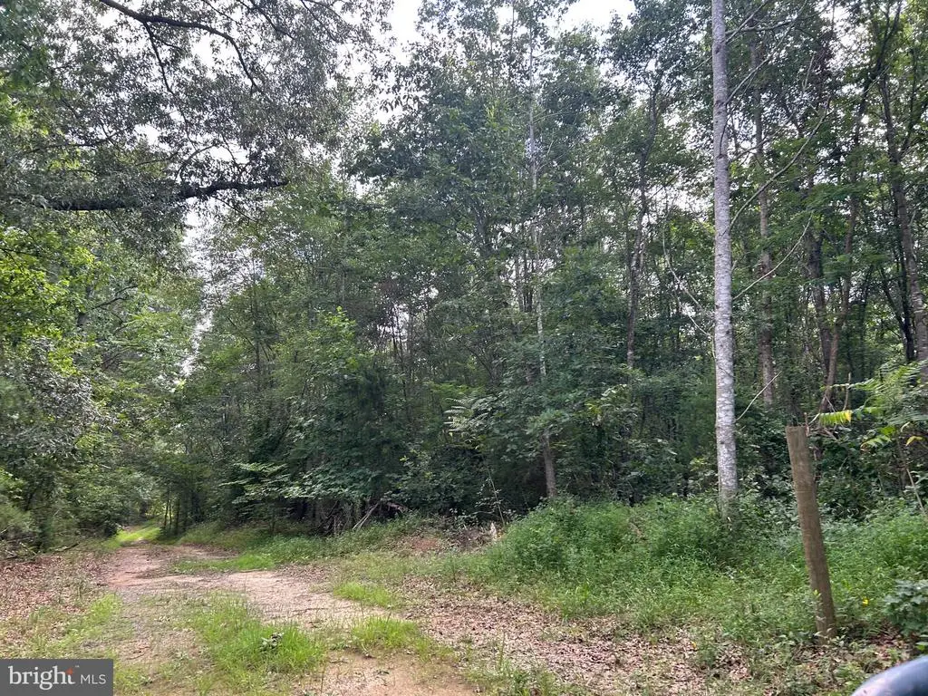 Bickers Ln, Orange, VA 22960 - #1