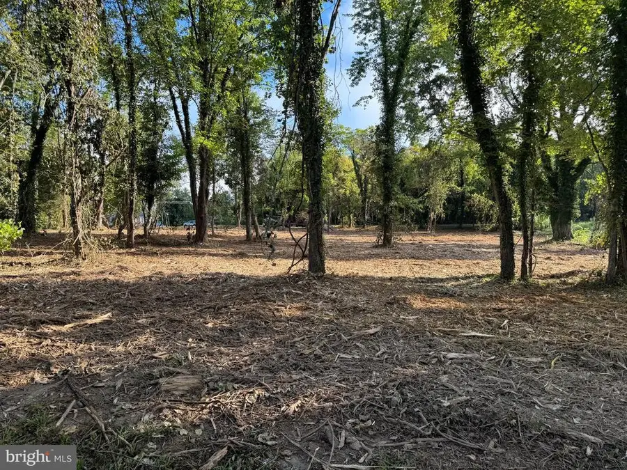 0 East St, Gordonsville, VA 22942 - #3