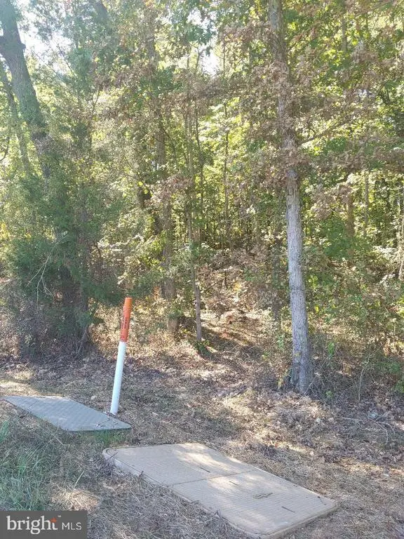 33 Zachary Taylor Hwy, Unionville, VA 22567 - Image #3