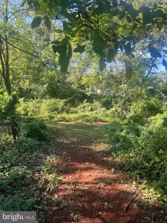 James Madison Hwy, Orange, VA 22960 - #3