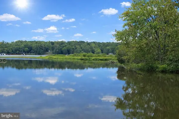 26700 Daniels Point Dr, UNIONVILLE, VA 22567